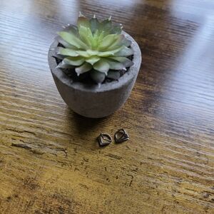 Urban Body Jewelry CHEVRON Earrings